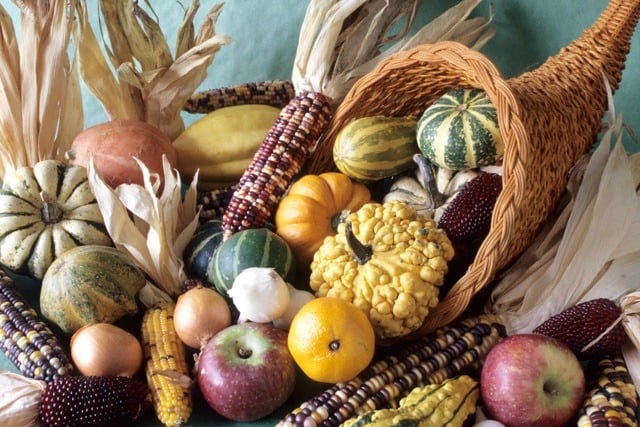 The Story of the Cornucopia: The Thanksgiving Horn of Plenty