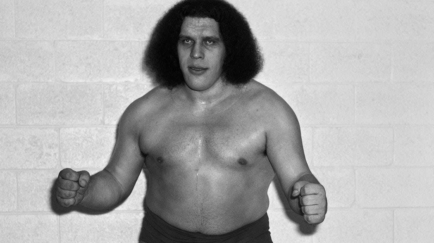 What Andre The Giant Was Like The Last Time These Celebs Saw Him Alive