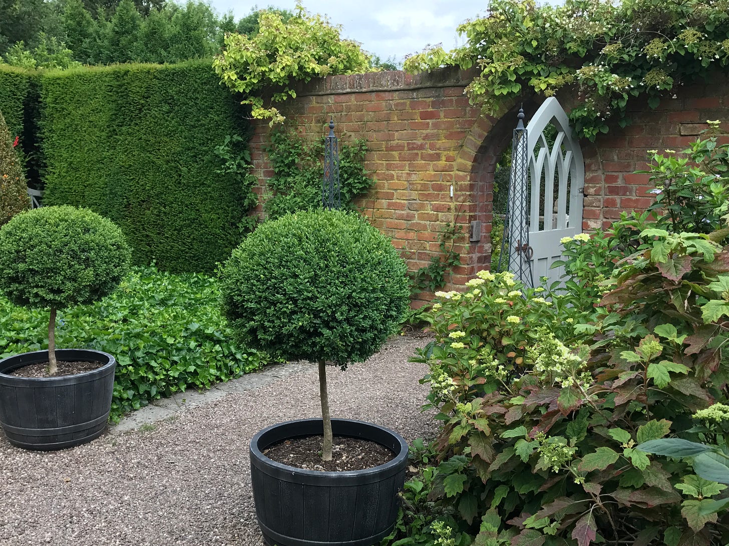 An irresistible door in the wall to the garden proper. 