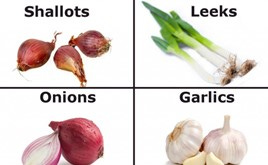 shallots, leeks, onions, garlics