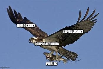 Image result for two wings of same bird republican democrat