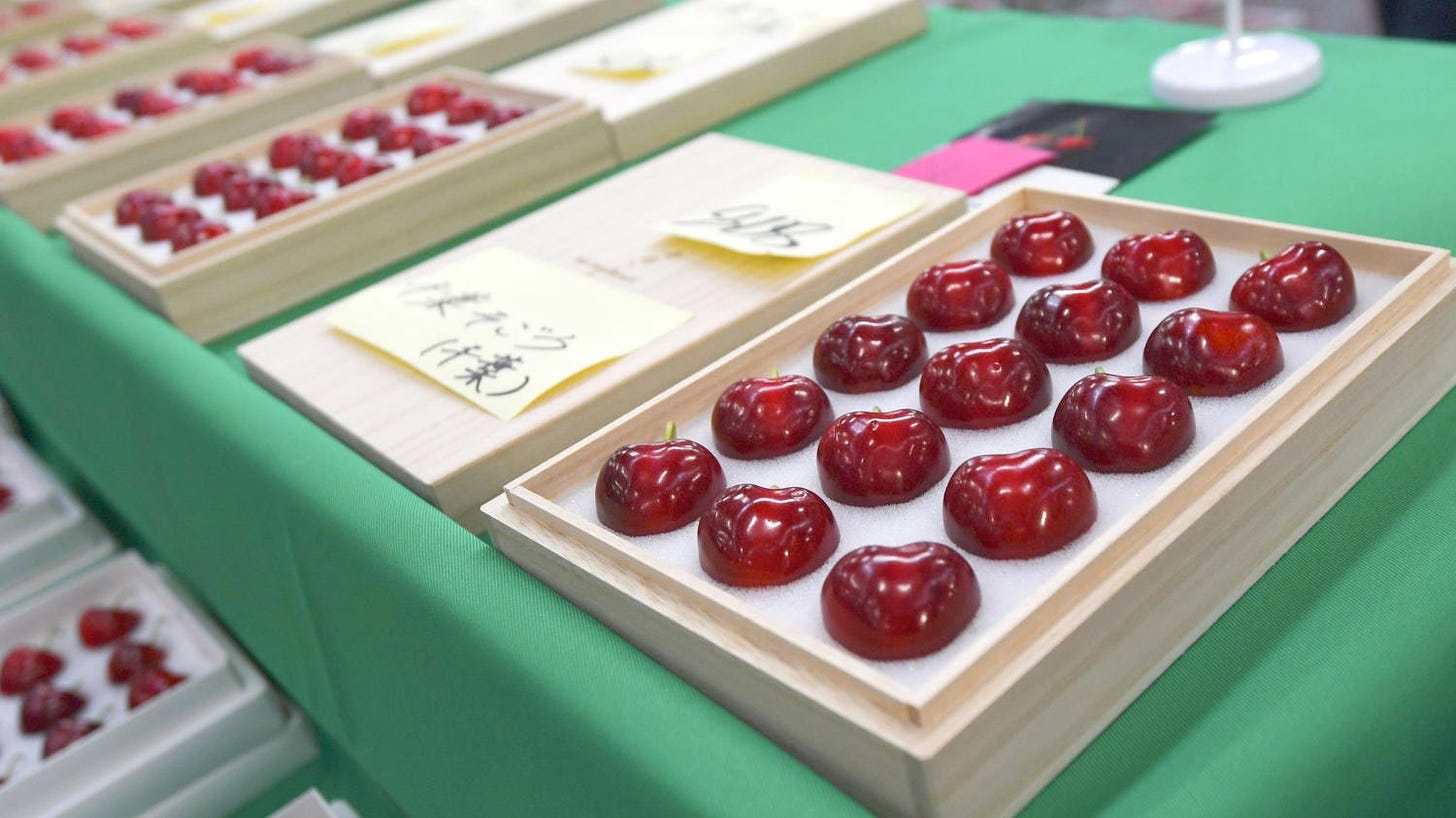 A box of perfectly sized shiny cherries sold in a Japanese supermarket