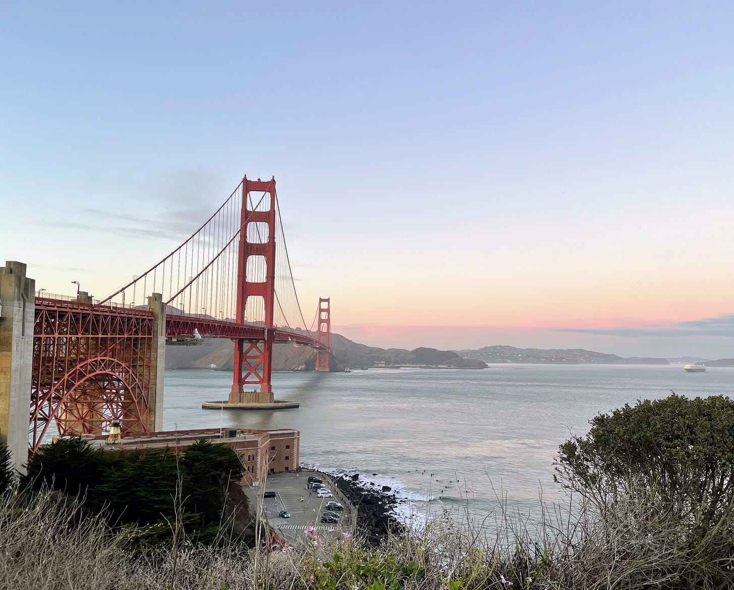 A sunset view of the Golden Gate bridge, with some flowering plants in the foreground and a large container ship in the distance beyond the bridge