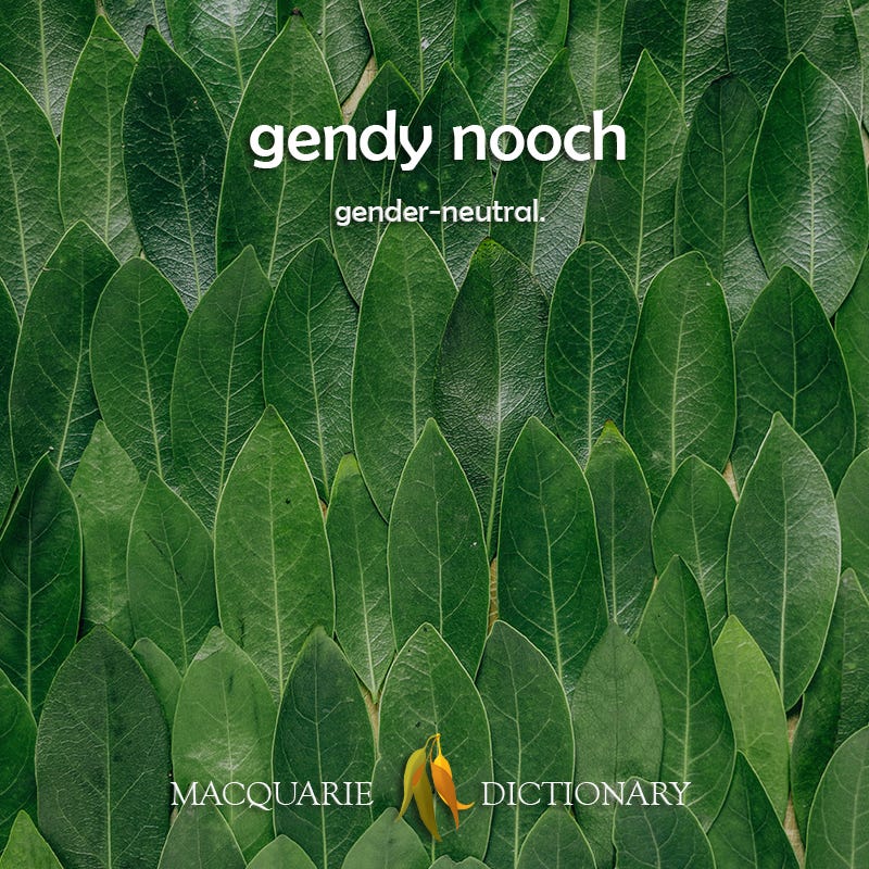 “gendy nooch: gender-neutral” from Macquarie Dictionary.