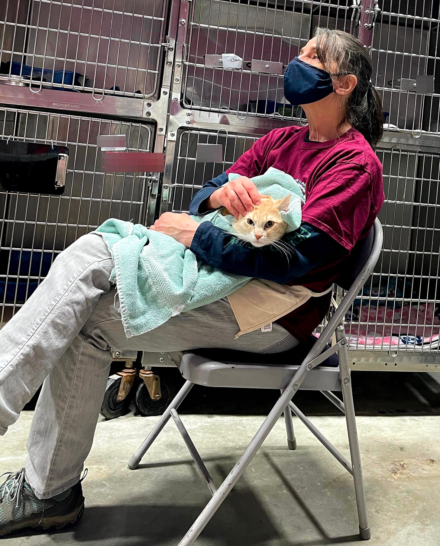 A woman sits on metal chair near cat kennels with cat on her lap