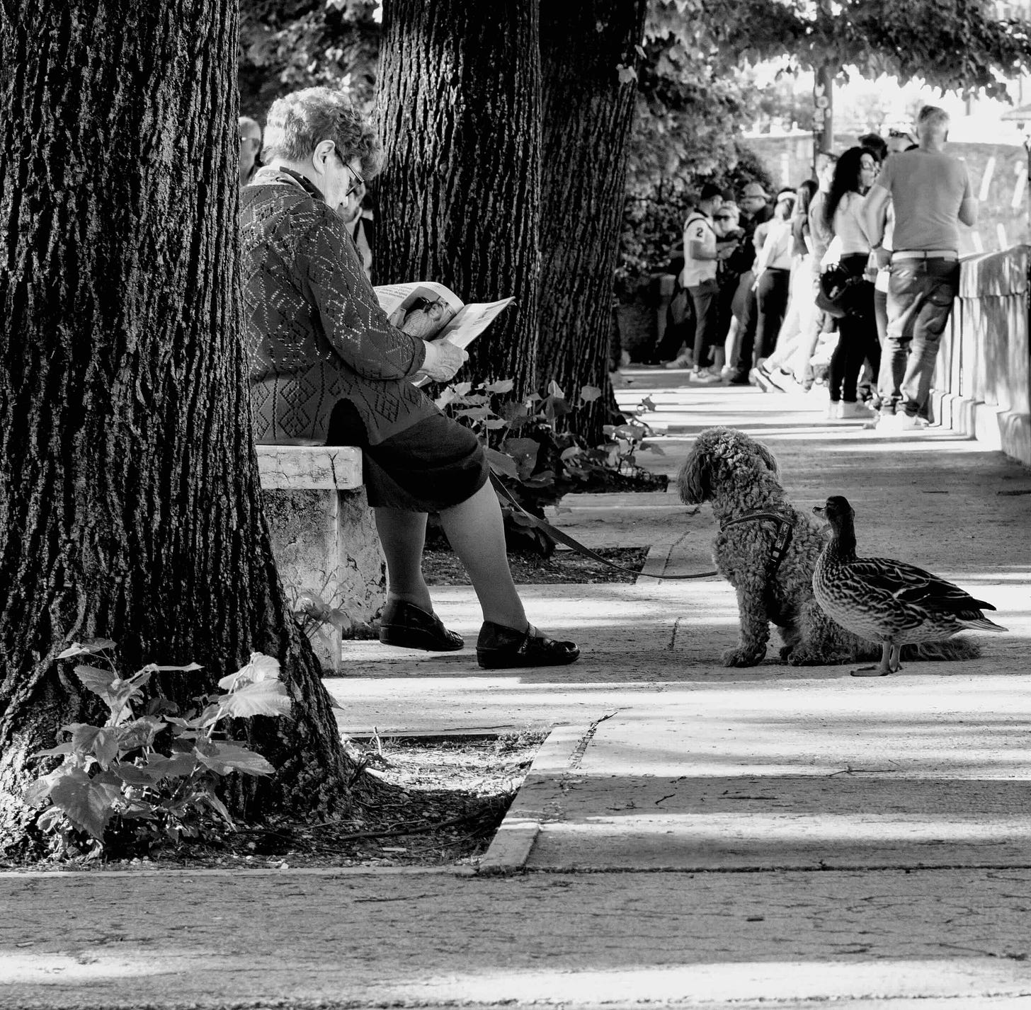 Reading Companions