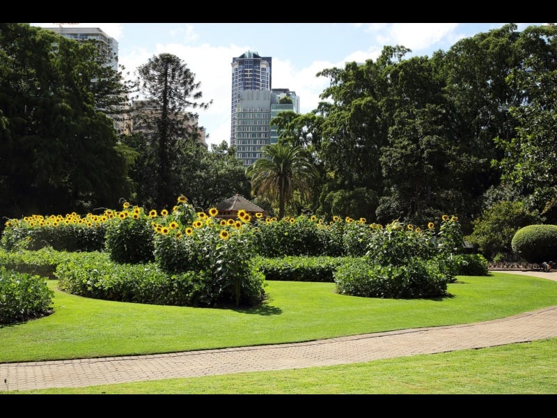 Brisbane City Botanic Gardens self-guided walk, QLD - Walking Maps