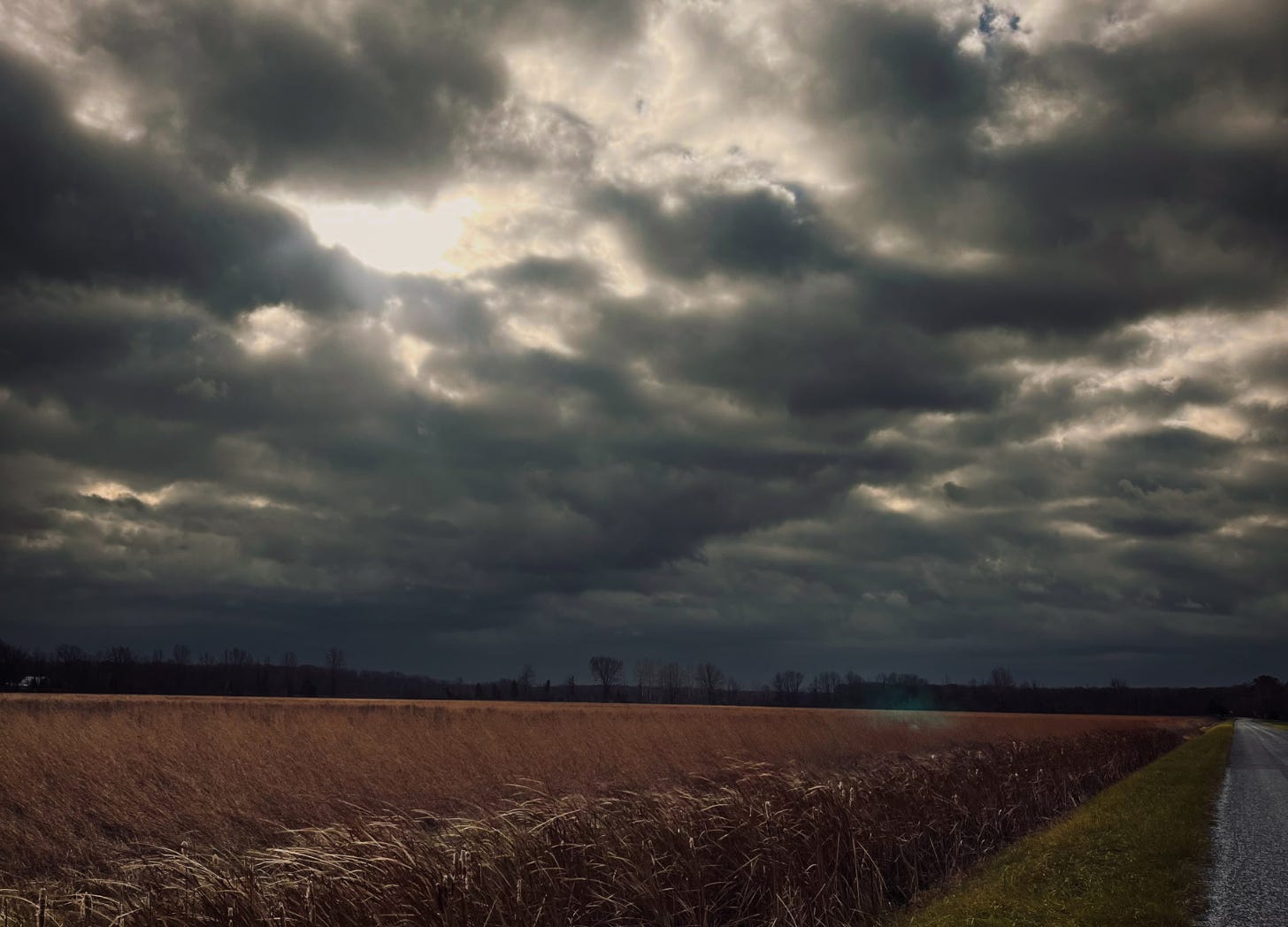  dark, overcast sky with heavy clouds, casting a moody atmosphere over a field of tall grass. The landscape appears calm yet somber, with a faint glimmer of light breaking through the clouds.