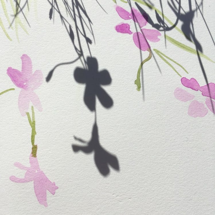 A watercolour with shadows of flowers 