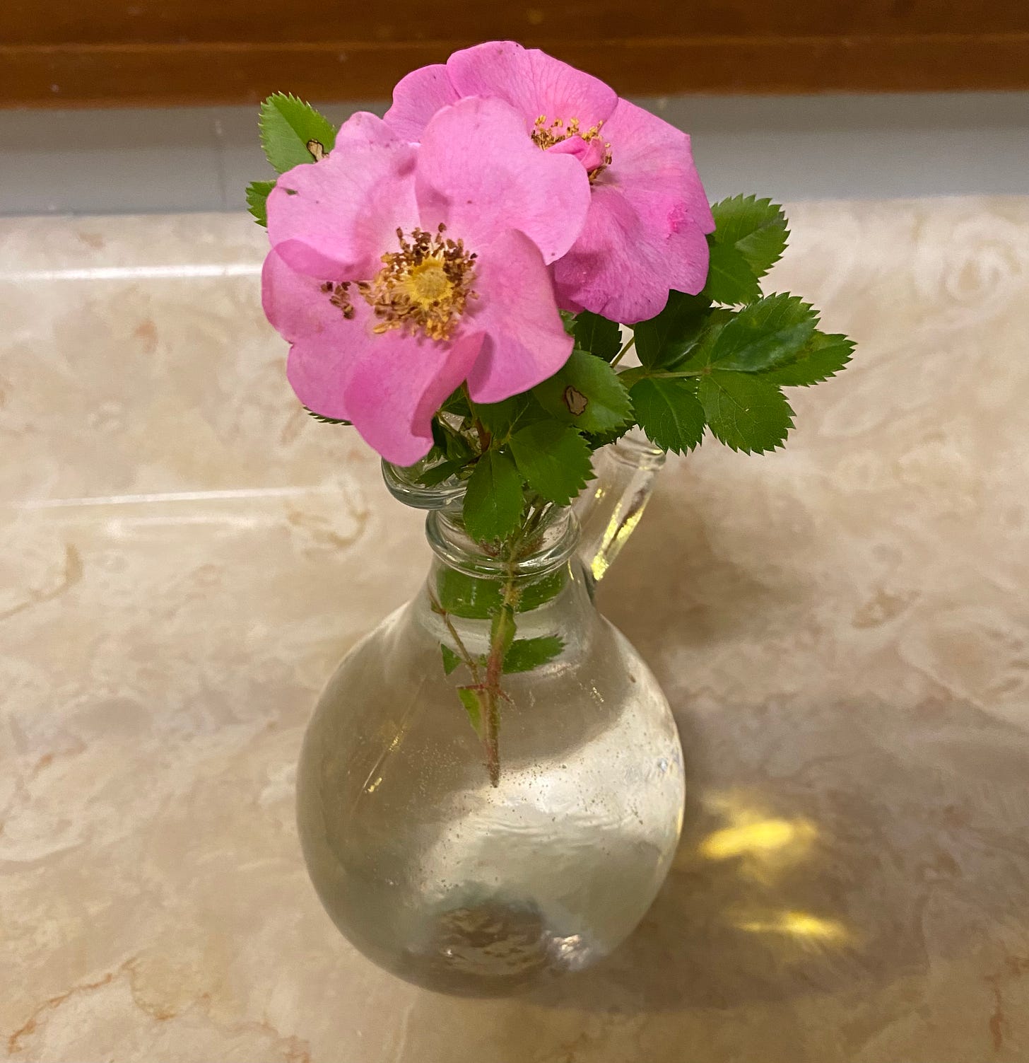 two pink roses in a clear bulb vase