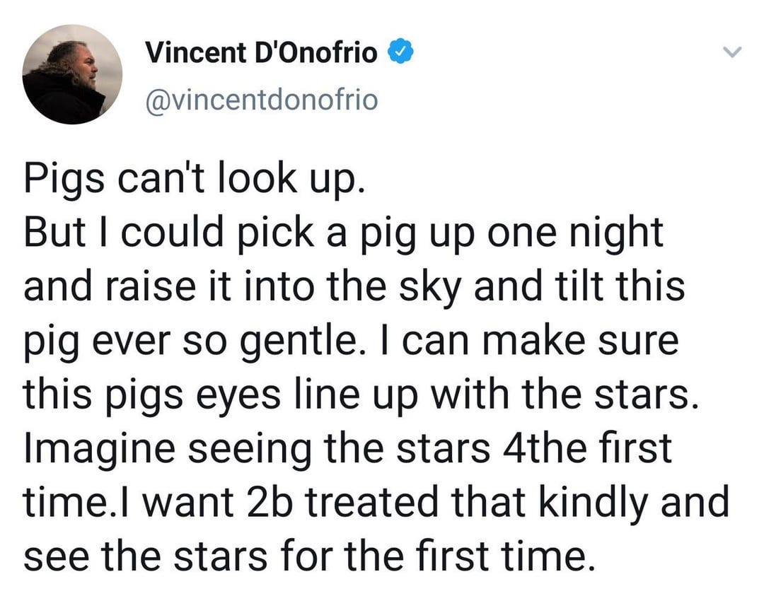 minihkwetan on X: "Vincent D'Onofrio's pig tweet https://t.co/SG216kBSsc" /  X