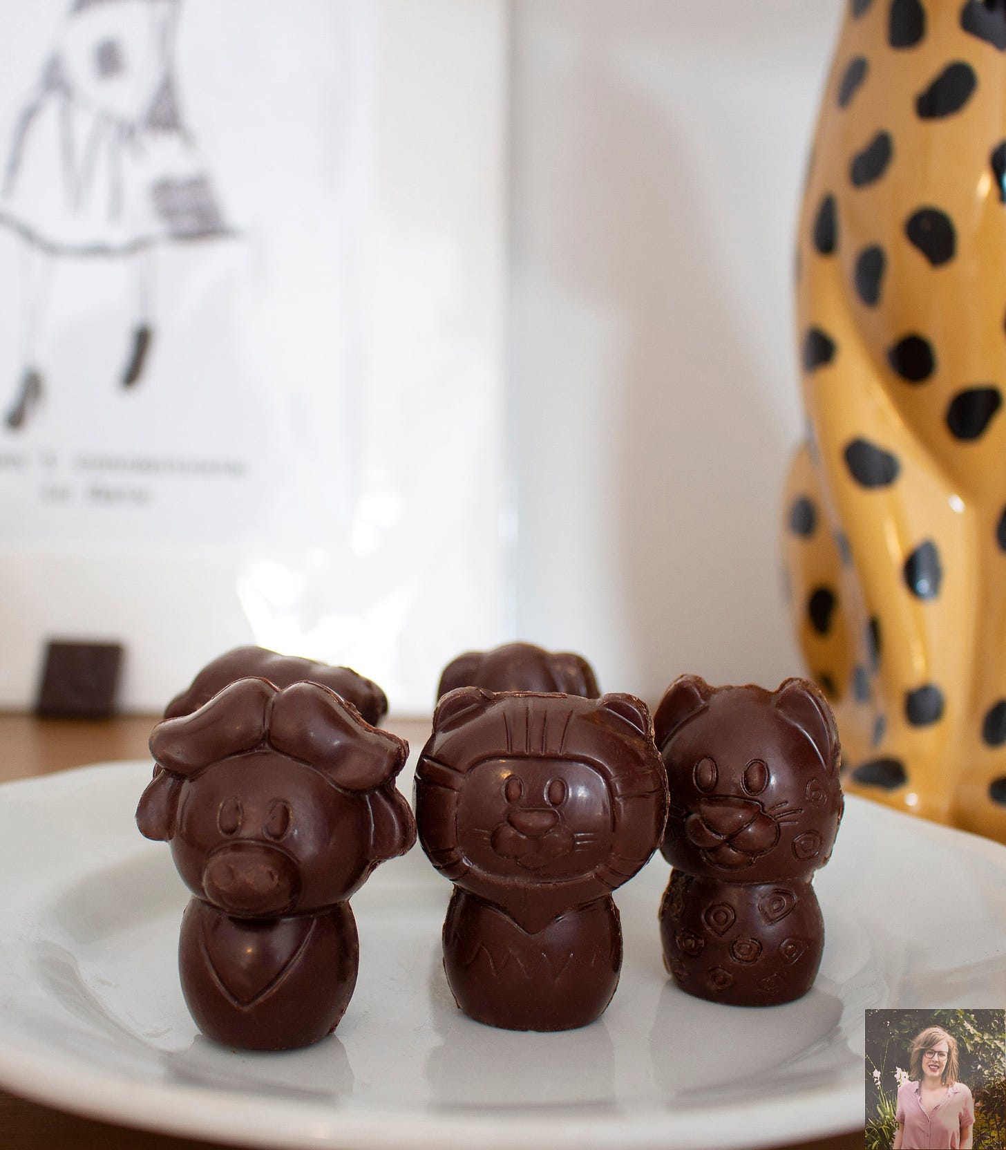 dark chocolate animal figures in cute cartoon style on white plate