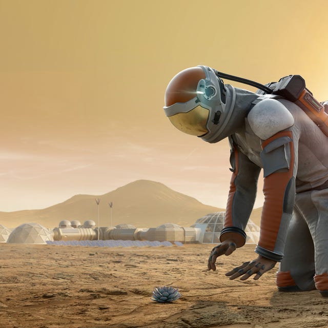 astronaut on mars kneeling and staring down at a plant growing in rocky dusty ground with spaceship and base camp in background