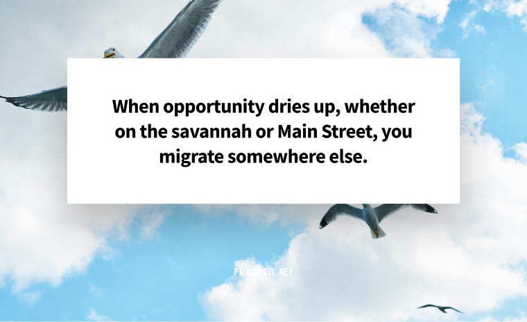 When opportunity dries up, whether on the savannah or Main Street, you migrate somewhere else.