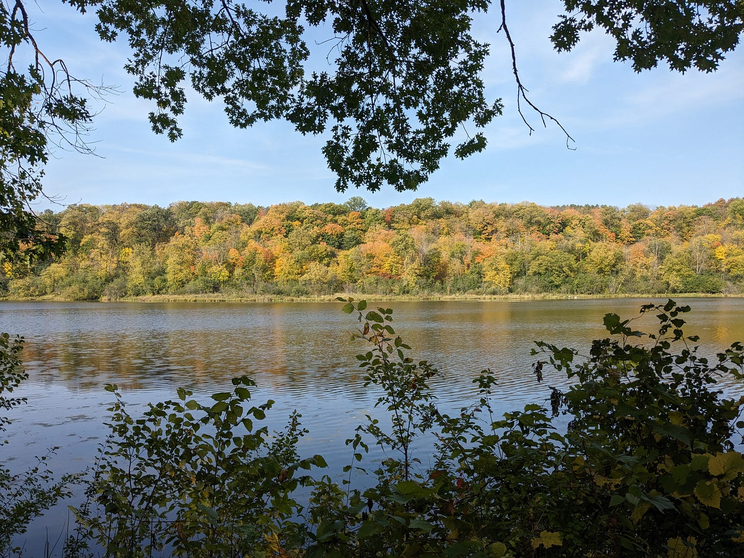 A landscape view of the St. Croix River, with a few yellow and orange trees on the opposite bank.