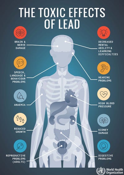 Infographic: The toxic effects of lead - PAHO/WHO | Pan American Health  Organization