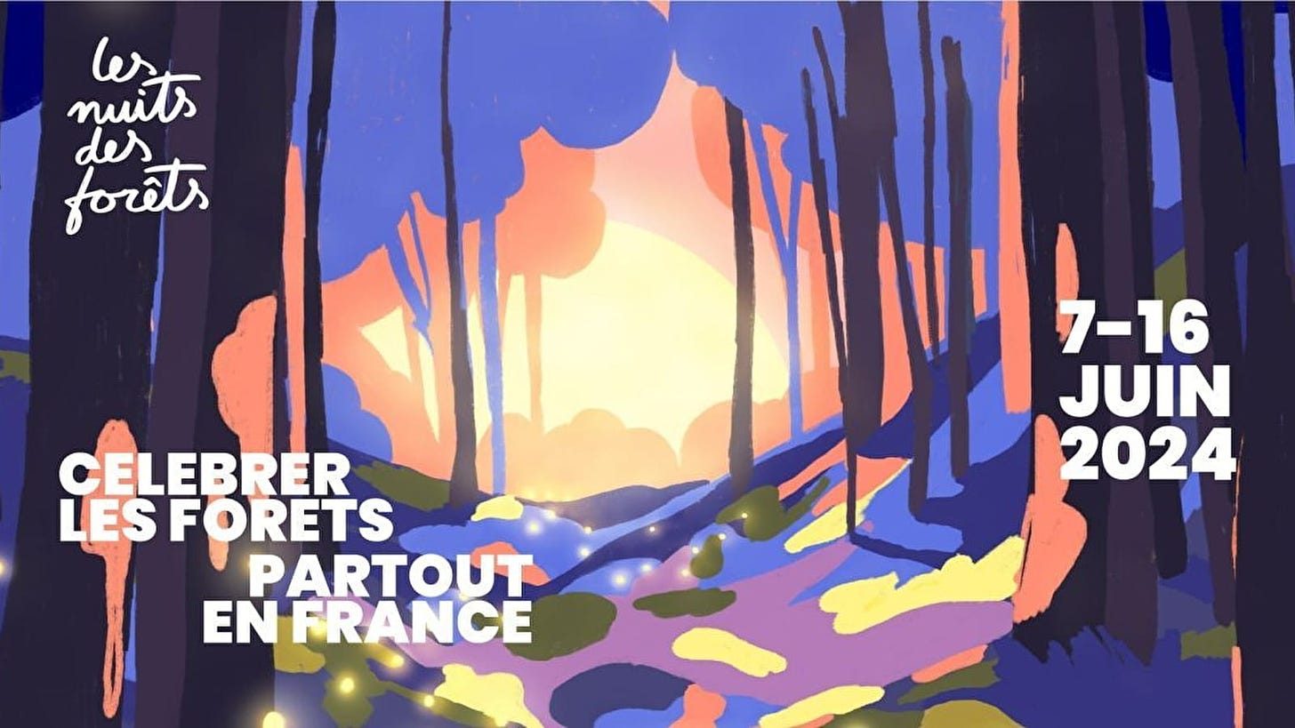 Festival Nuits des Forêts 2024 | La Bourgogne