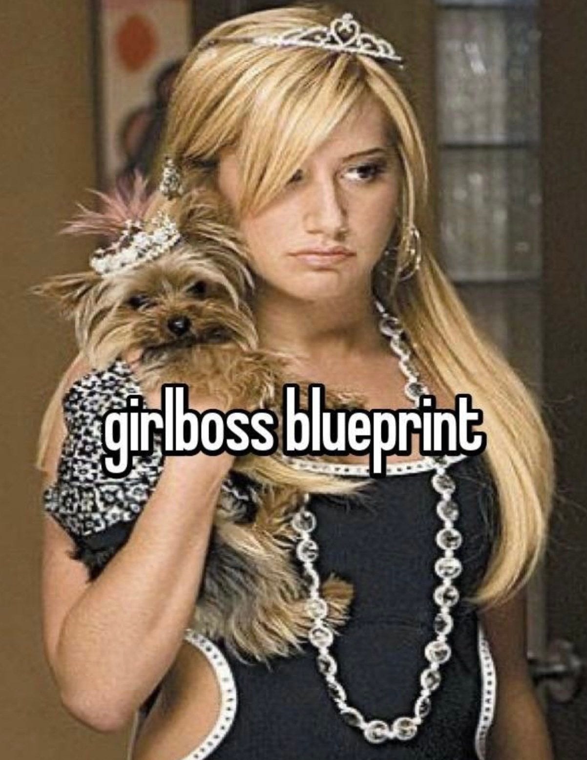 a meme of sharpie with her yorkie that says girl boss blueprint