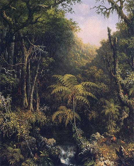 The Brazilian Rain Forest, 1864 | Martin Johnson Heade