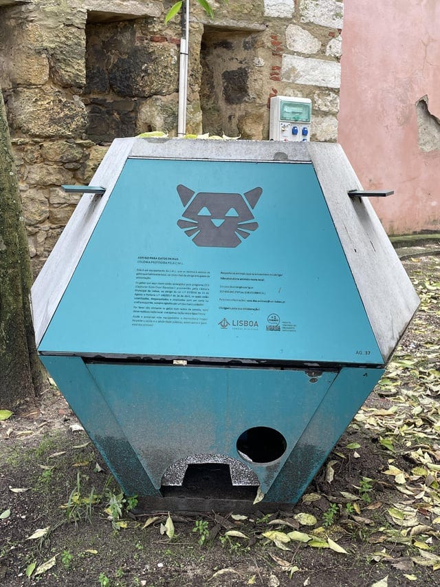 r/stray - Lisbon, a futuristic cat house