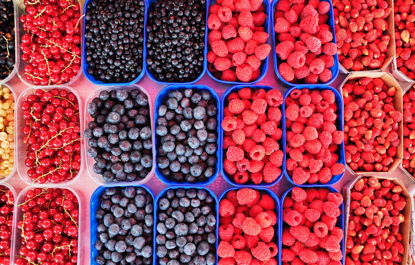 Photo of various types of berries divided into separate containers. Photo by Alex Block on Unsplash.
