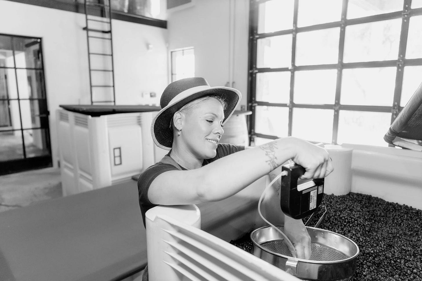 Alecia Moore aka Pink with grapes fermenting to become wine
