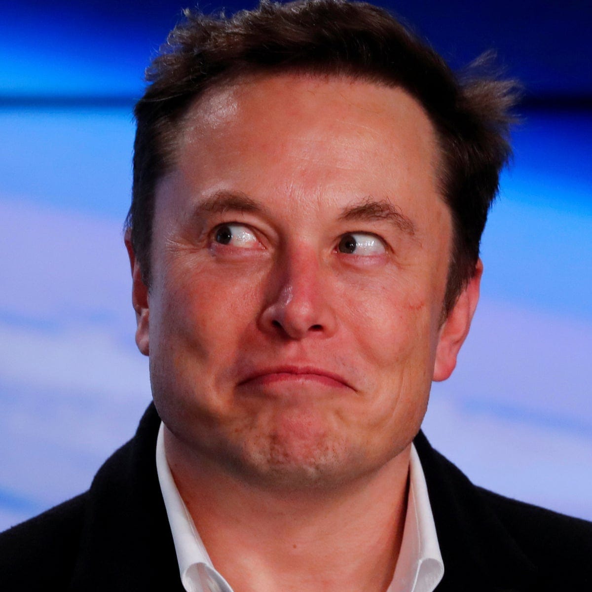 Elon Musk hires man behind 'absolute unit' sheep meme to run Tesla's social  media | Tesla | The Guardian
