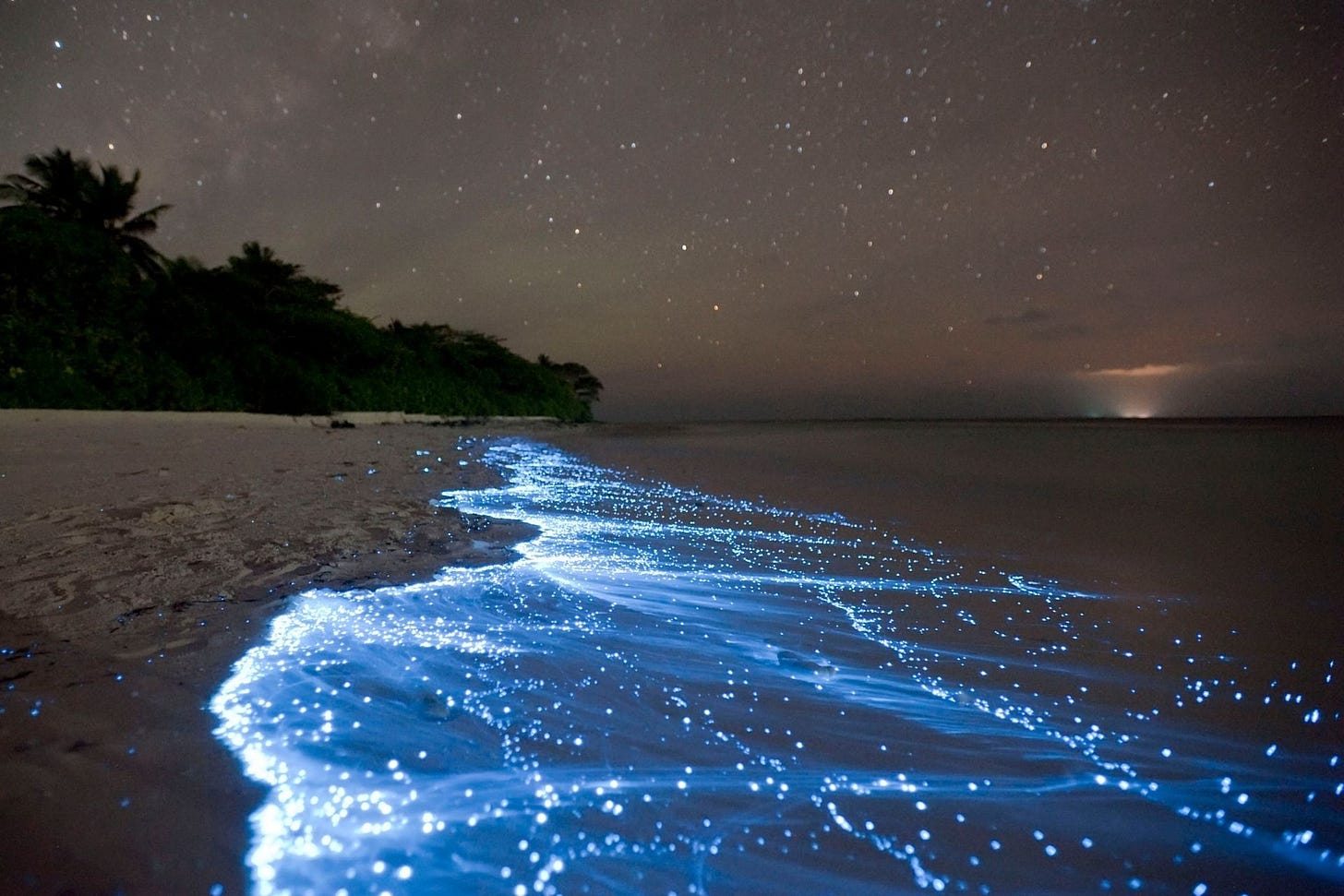 Maldives Bioluminescence Beaches that Glow in the Dark