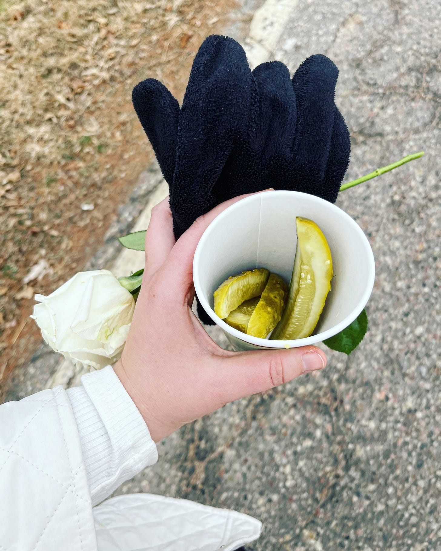 hand holding a cup of pickles