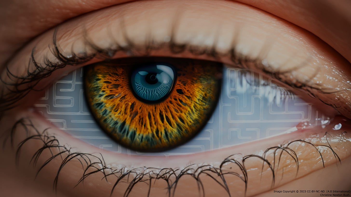 Color composite image: close up of a human eye altered to have a maze embossed onto the whites of the eye with a second blue iris inside an outer golden brown one.