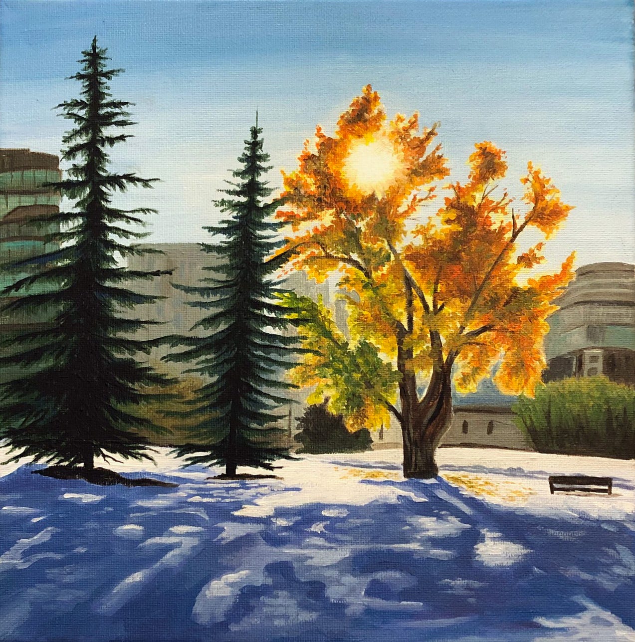 Painting of a view in our neighbourhood with two evergreen trees and the sun shining through the autumn leaves of a third tree. The sky is blue and purple shadows are cast across the bright white snow.