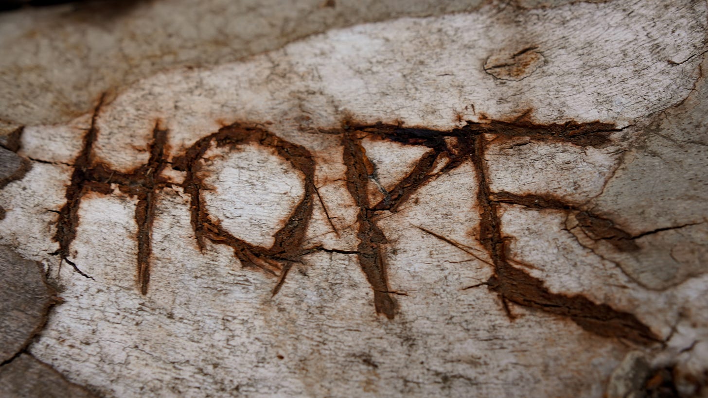 The word "HOPE" scratched into rocky ground.