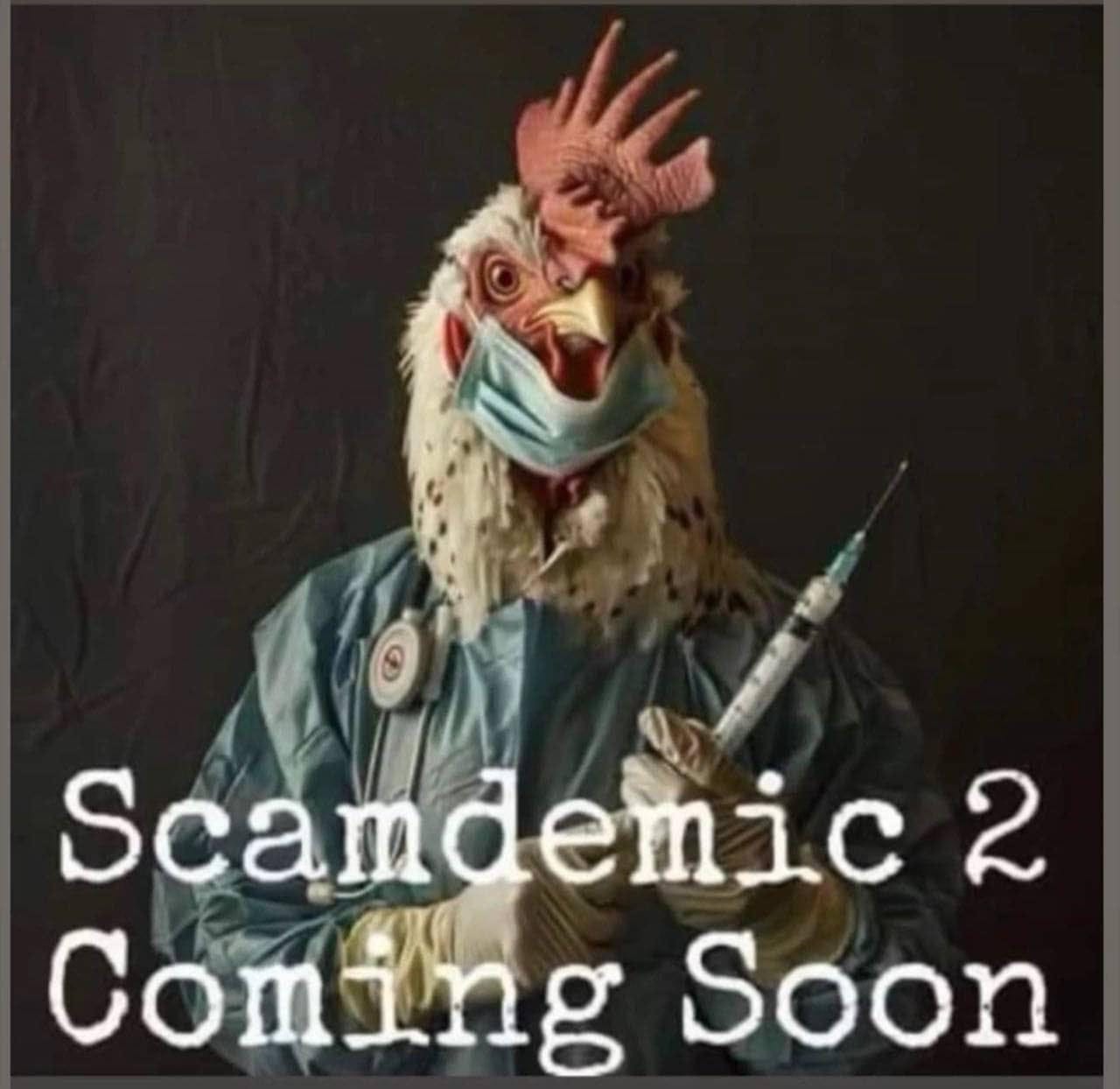 Meme of a chicken dressed in scrubs with a stethoscope and a syringe and the caption "Scamdemic 2 Coming Soon"