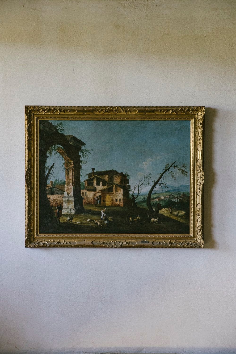 Tenuta san carlo_Saghar Setareh-11.jpg Tenuta san carlo_Saghar Setareh-11.jpg