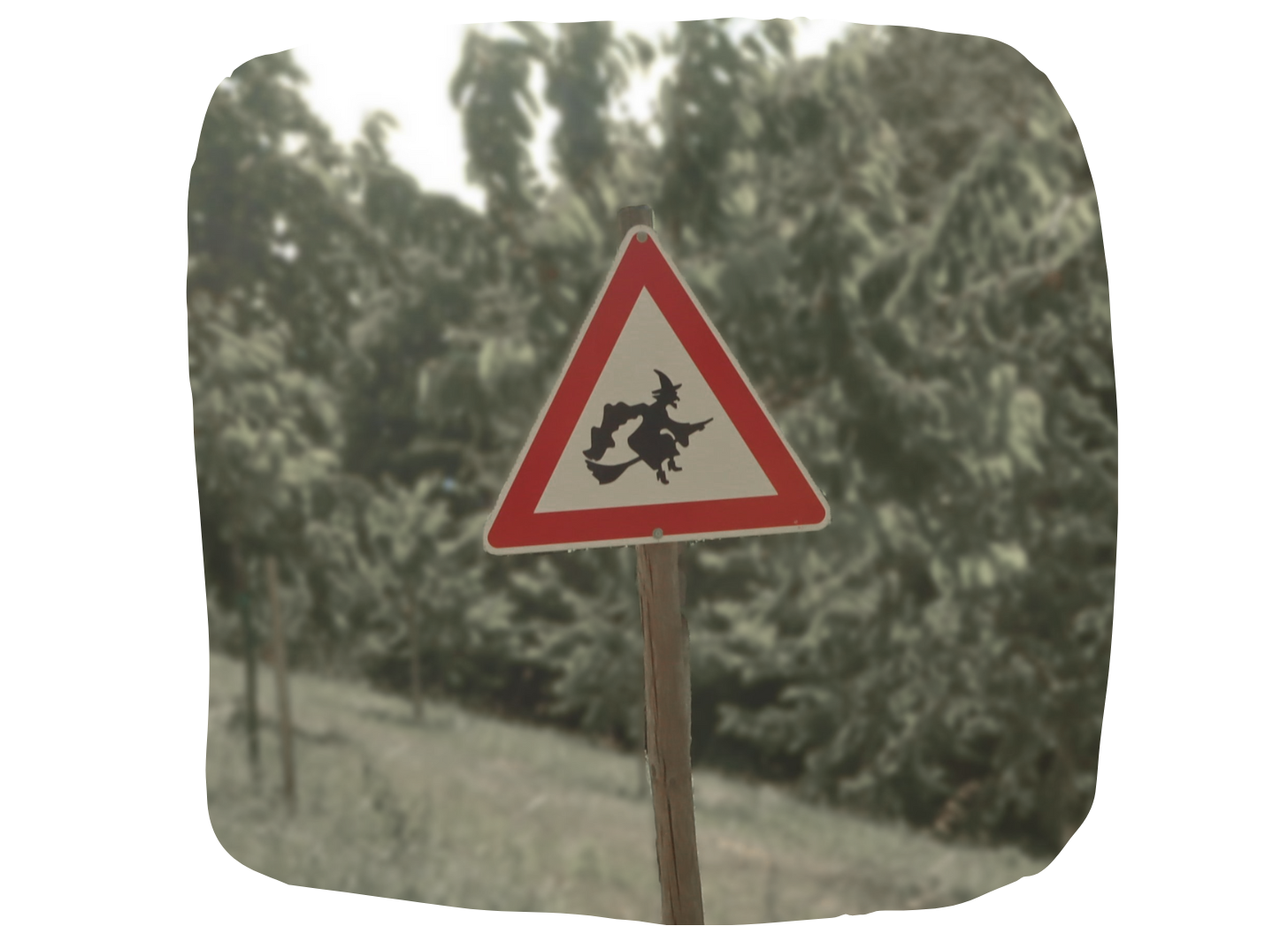 Fake traffic sign beware of witches, Lautenbach Witches Trail, Black Forest