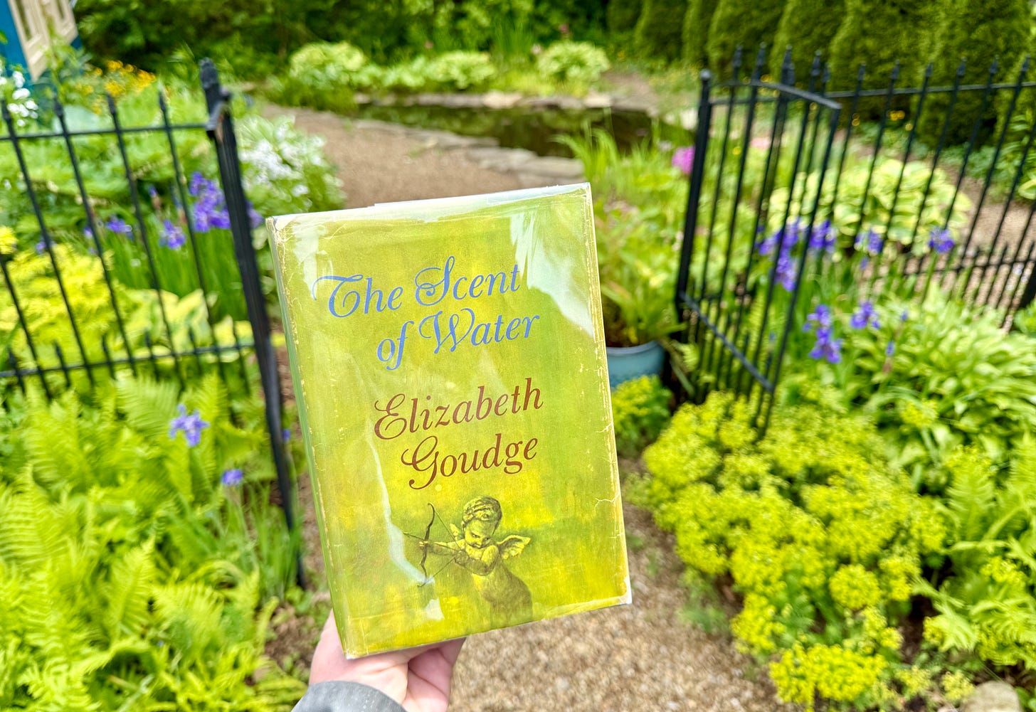 US edition of The Scent of Water by Elizabeth Goudge near our garden pond US edition of The Scent of Water by Elizabeth Goudge near our garden pond