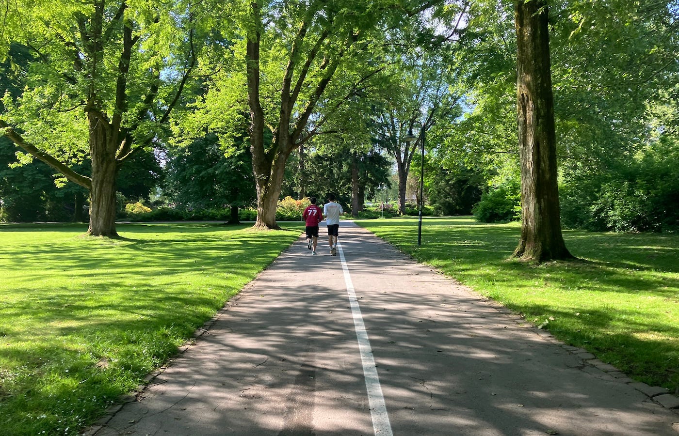 A wide tarmac path between areas of trimmed grass, shaded by trees