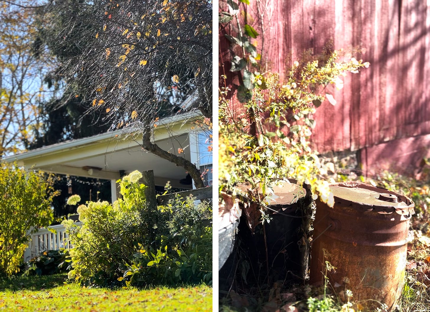 two photos from the farm, showing the foliage changing color