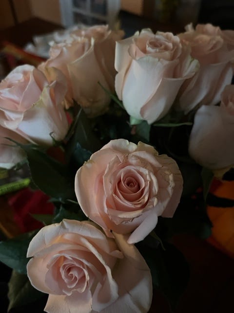 A bouquet of pale pink roses in close-up and low lighting