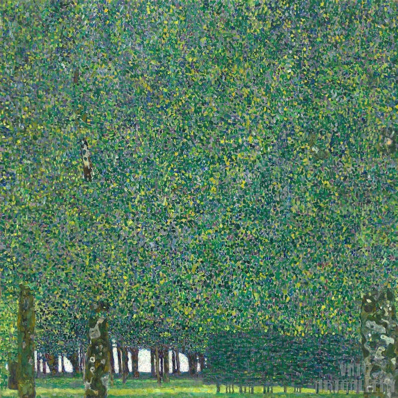 Gustav Klimt : The Park 1910 Canvas Gallery Wrapped or Framed Giclee Wall Art Print D50 image 1