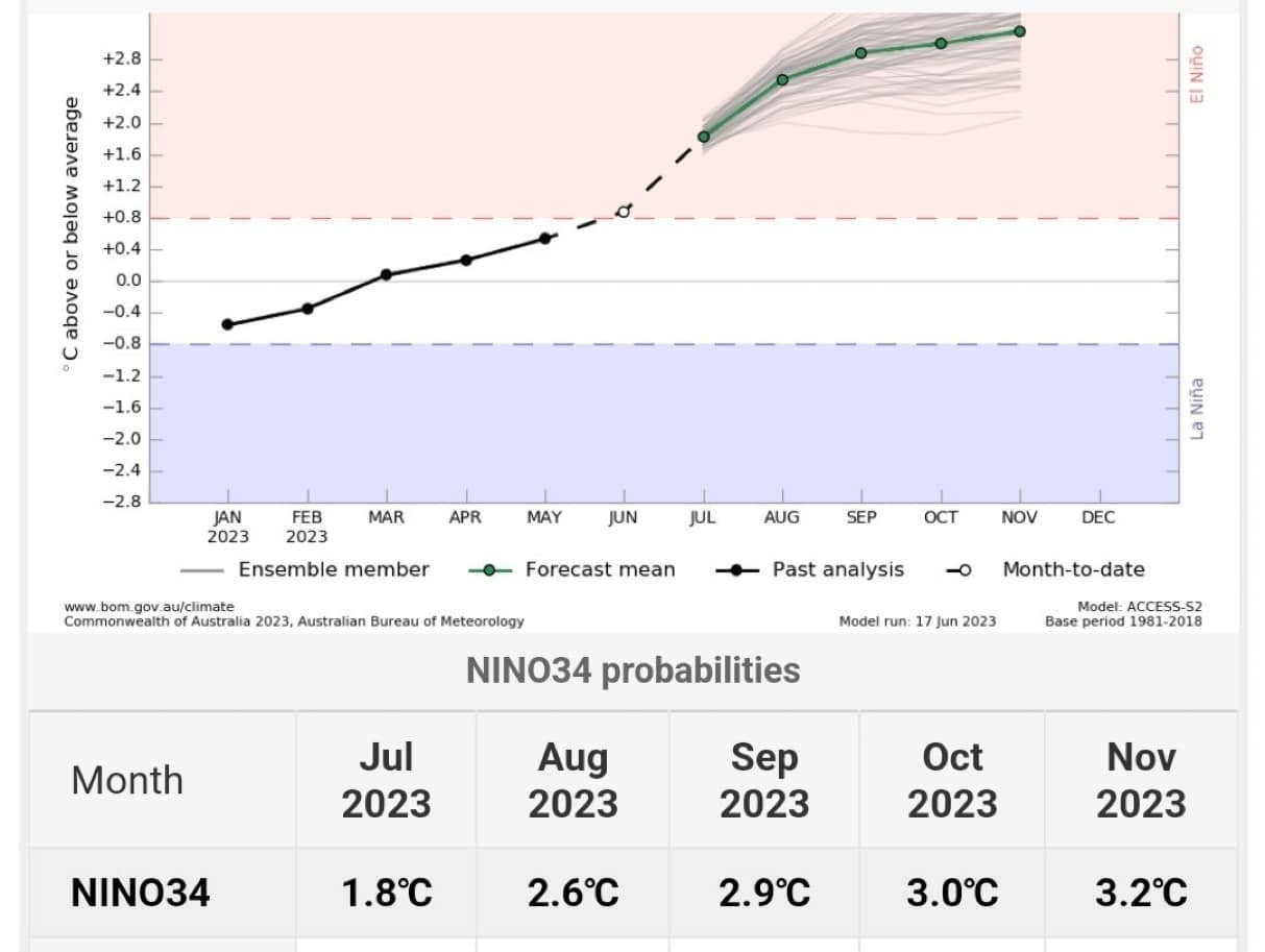 May be an image of text that says '00 +2.8 +2.4 +2.0 +1.6 +1.2 +0.8 +0.4 0.0 -0.4 0.8 -1.2 -1.6 -2.0 -2.4 2.8 Niño 13 MAR JAN FEB 2023 2023 Ensemble member APR MAY JUN JUL www au/climate Commonwealth Australia 2023, Australian Bureau AUG L SEP Forecast mean OCT NOV Meteorology DEC Past analysis Month-to-date Model run: 17 jun 2023 NINO34 probabilities Month Model: ACCESS-S2 Base period 1981-2018 Jul 2023 Aug 2023 NINO34 Sep 2023 Oct 2023 1.8℃ Nov 2023 2.6°C 2.9℃ 3.0 3.2℃'