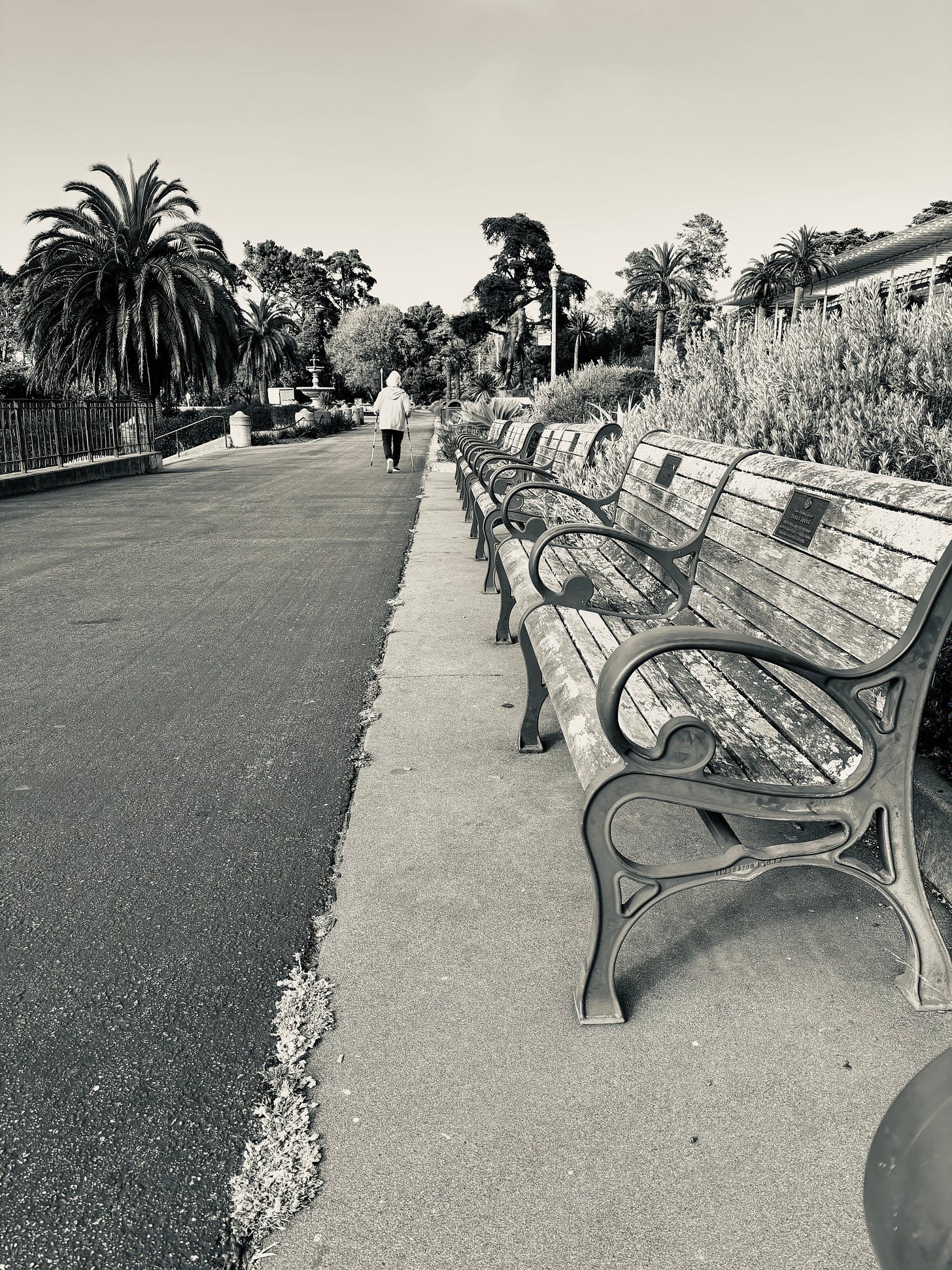 A row of benches