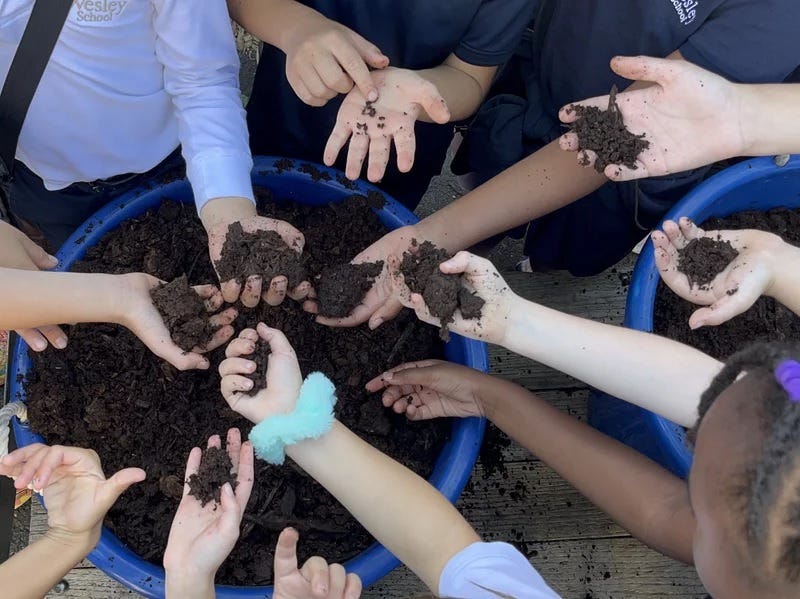 In photo shot from above, children stand in acircle around a blue bucket of composted soil, reaching their arms in to grab handfuls of the rich black soil. It looks almost like spokes on a wheel 