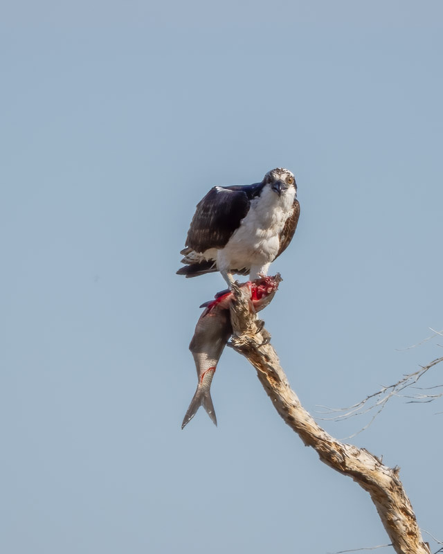 20240218-Yuma-652-Edit.jpg