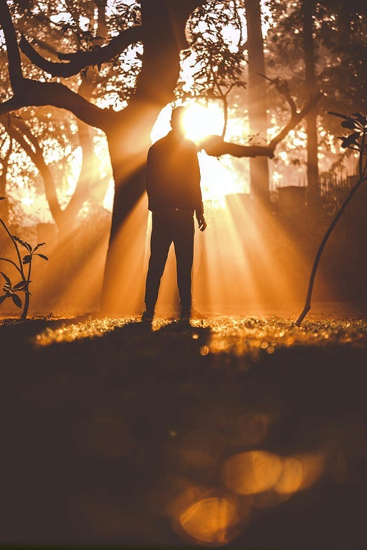 Figure standing in the forest in the bright sunlight.