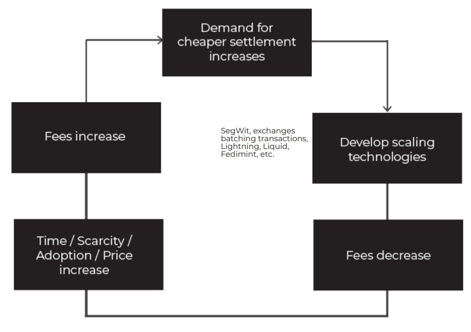 Image Image of The Bitcoin Scaling Cycles
