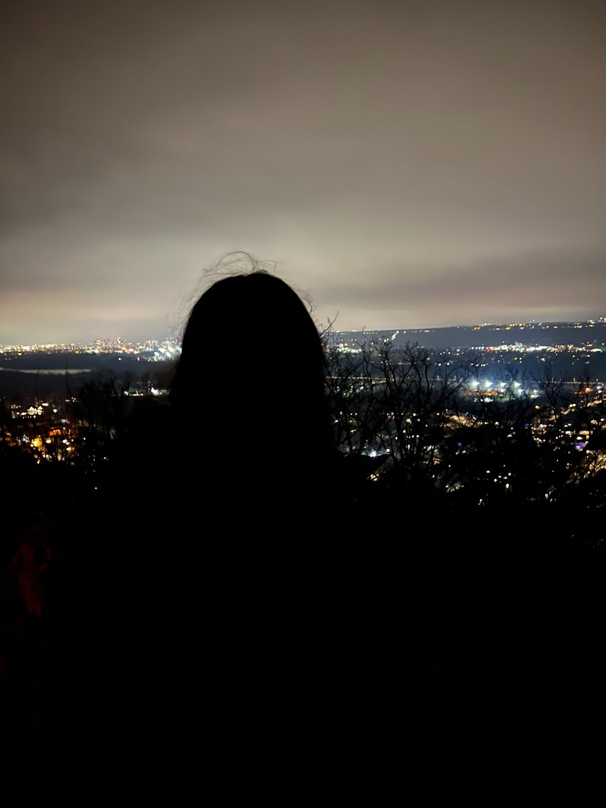 A woman looking over a vantage point