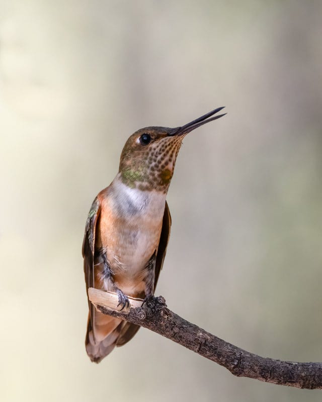 20240901-mby-125-Edit.jpg
