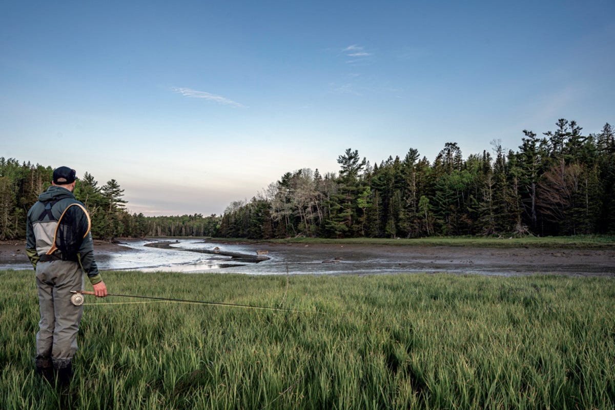 Salt-run trout exist primarily in Maine's tidal rivers.