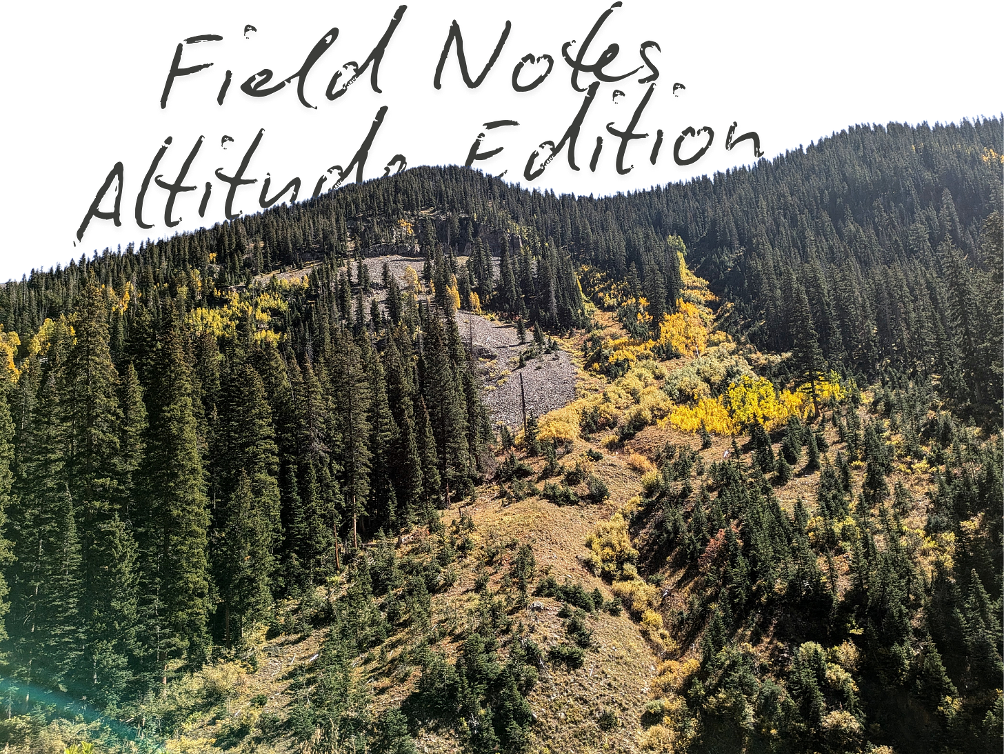 Scenic view of a forested mountainside with patches of golden autumn foliage scattered among evergreen trees. The handwritten text 'Field Notes, Altitude Edition' overlays the image at the top, evoking a sense of exploration and adventure in high-altitude terrain. The bright, clear sky highlights the natural beauty and rugged terrain of the landscape.